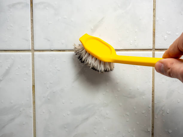 Best Mold Remediation for Specific Building Types in Lucerne, CA