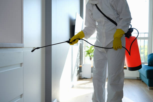 Best Kitchen Mold Remediation in Lucerne, CA