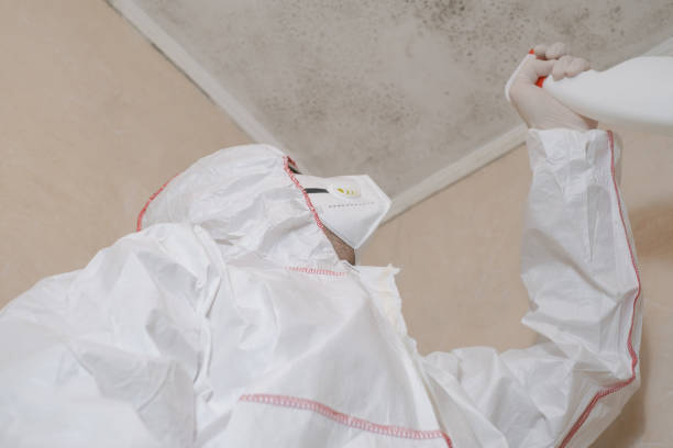 Best Post-Remediation Services in Lucerne, CA
