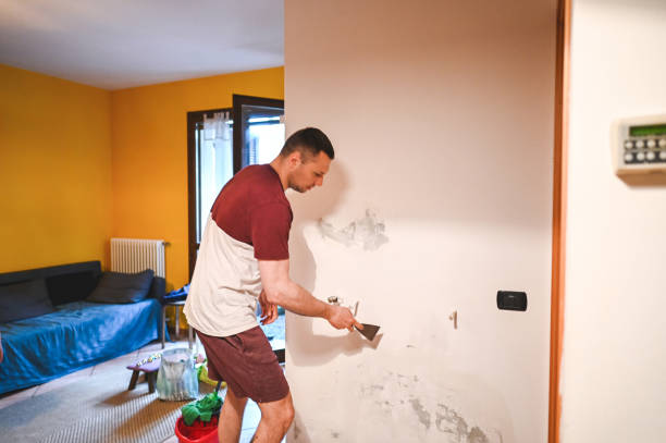 Best Basement Mold Remediation in Lucerne, CA