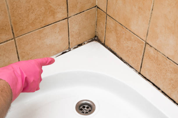 Best Residential Mold Remediation in Lucerne, CA